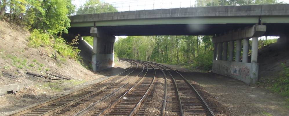 
            Фотография Волдвика