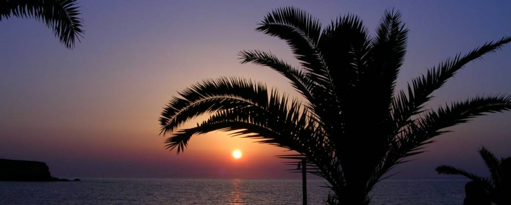 
            Фотография Андипароса