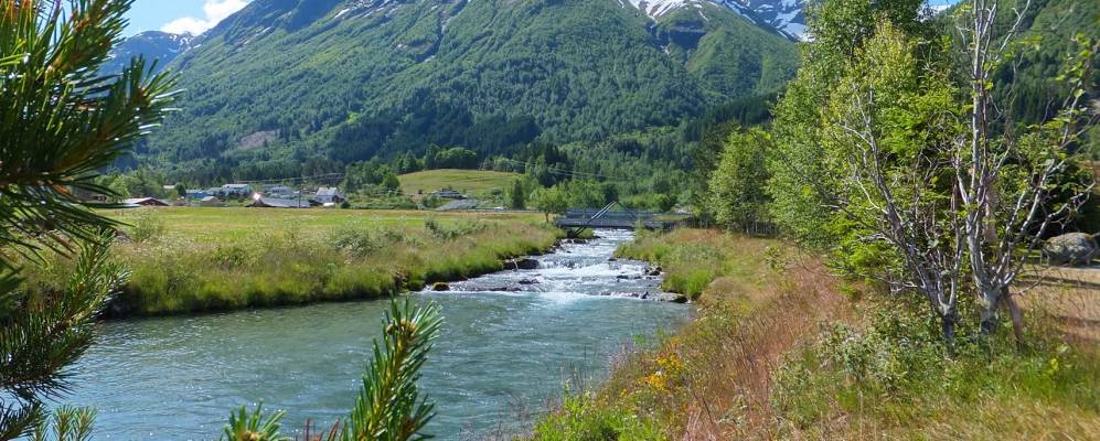 
            Фотография Видесетера