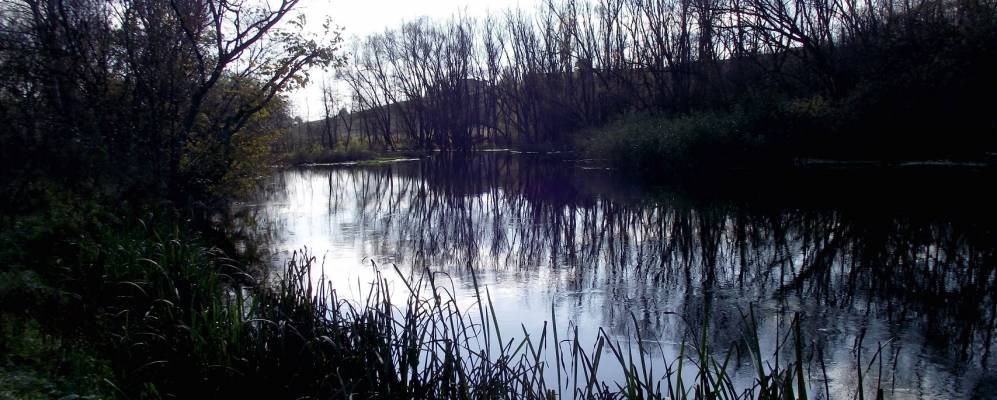 
            Фотография Дружбы