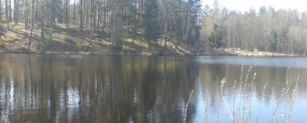 
            Фотография Ляхово