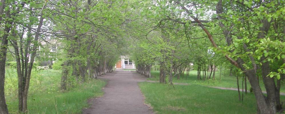 
            Фотография Могильно-Посельского