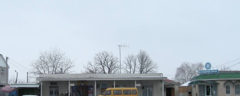 
            Фотография Суворовской