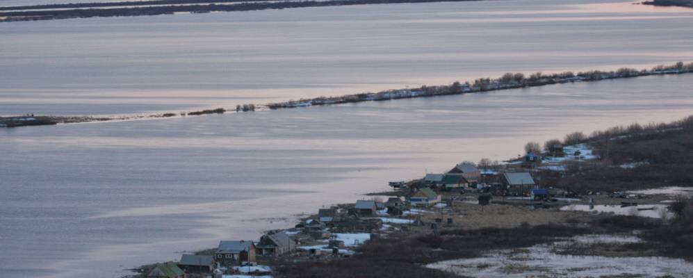 
            Фотография Вылпосла