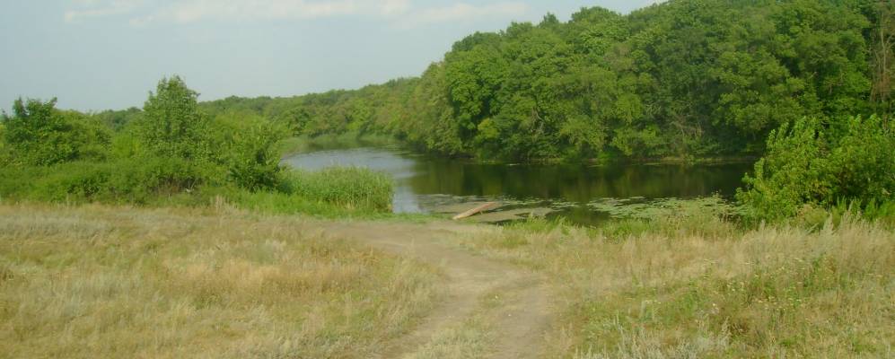 
            Фотография Челышевского