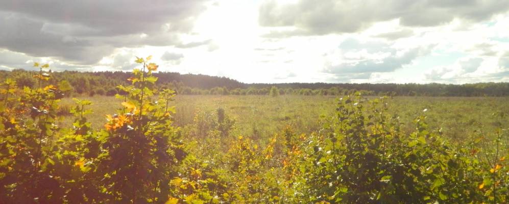 
            Фотография Победы