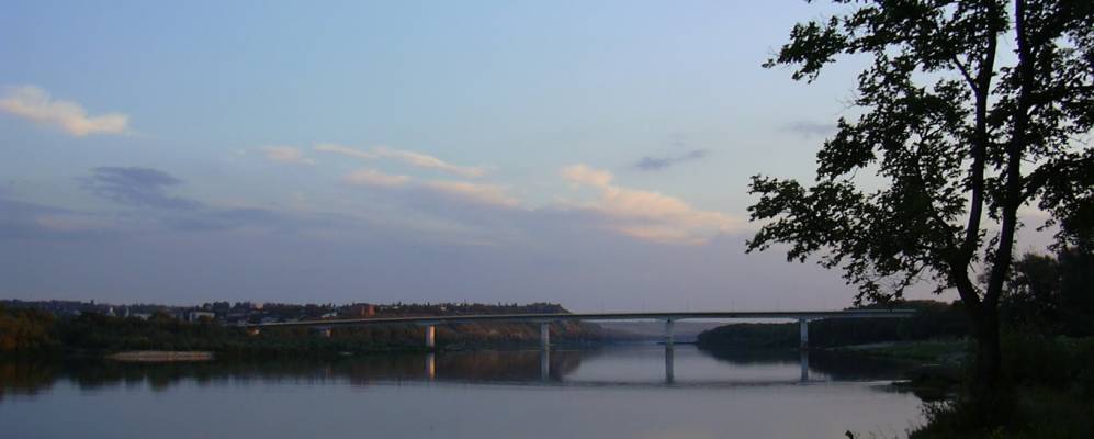 Фотография Березок