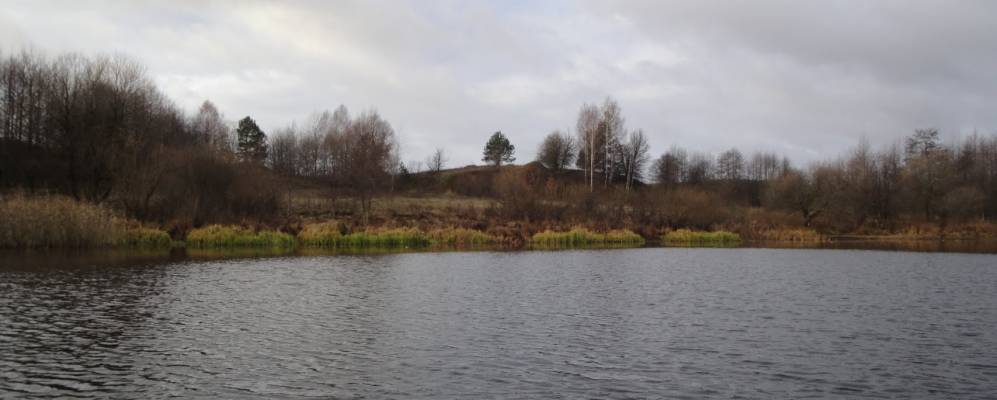 
            Фотография Выгона