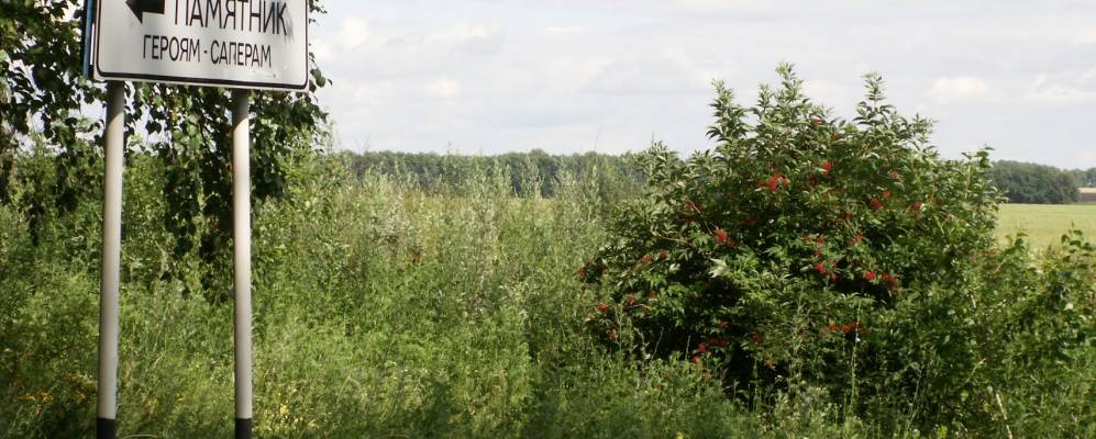 
            Фотография Прилепов