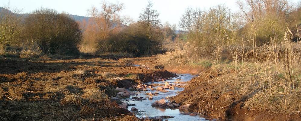 
            Фотография Фёрена