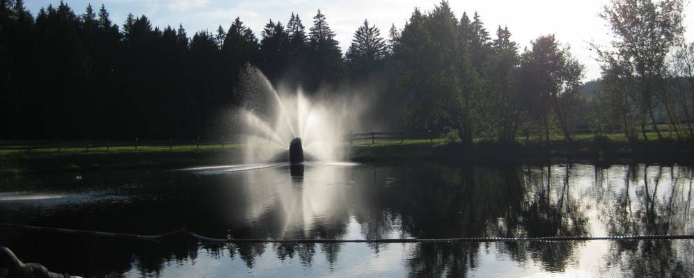 
            Фотография Зоннена