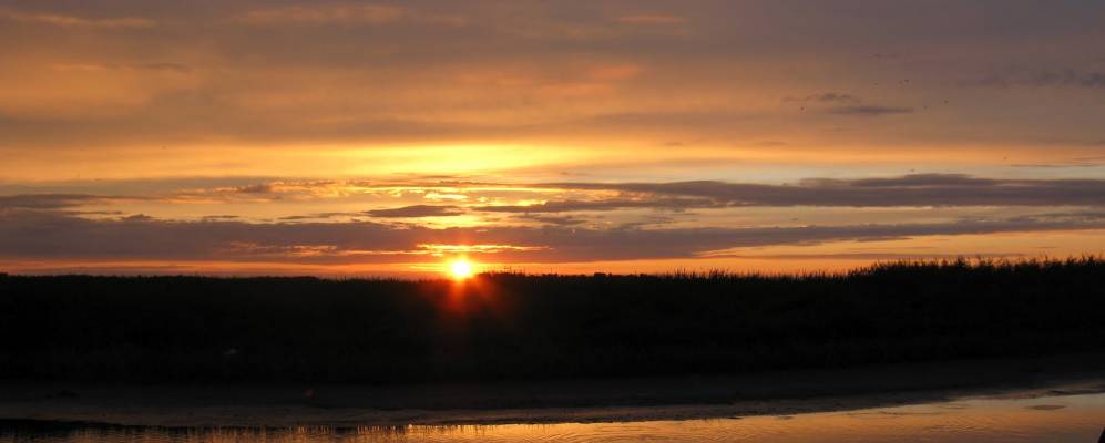 
            Фотография Песчанки