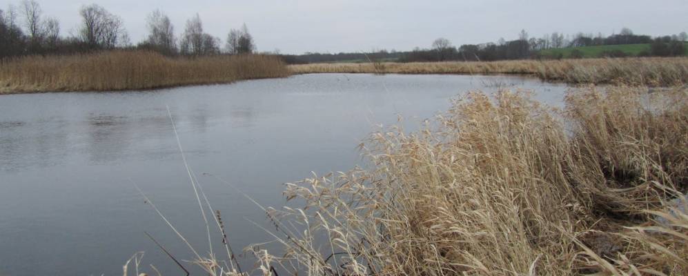 Фотография деревни Крошки