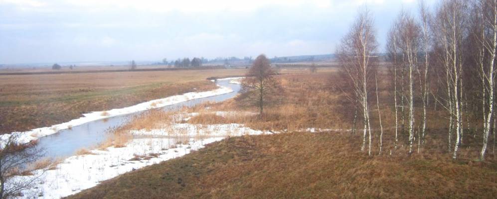 
            Фотография Заболоти