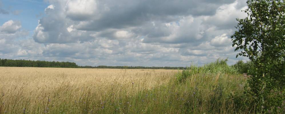 Фотография Кожевников
