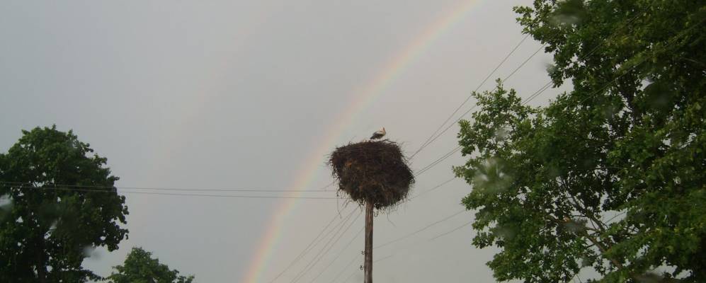 Фотография Хомичей