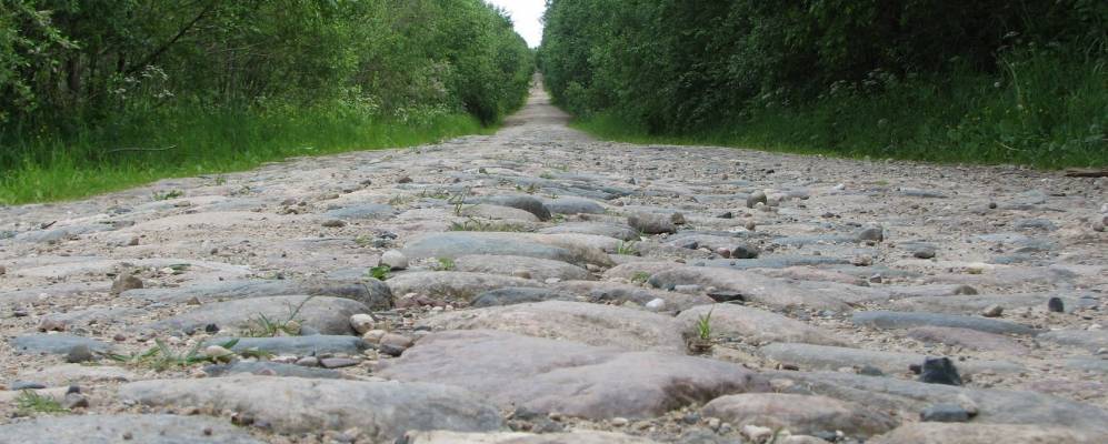 
            Фотография Шаврово