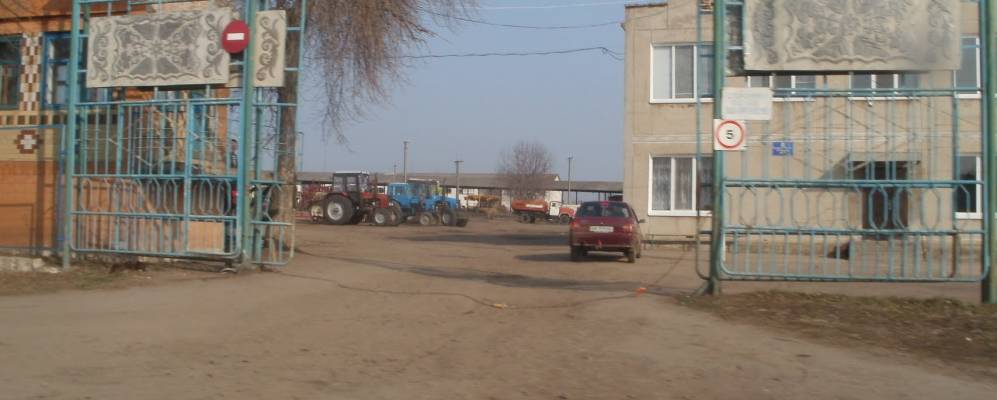 
            Фотография Кивачовки