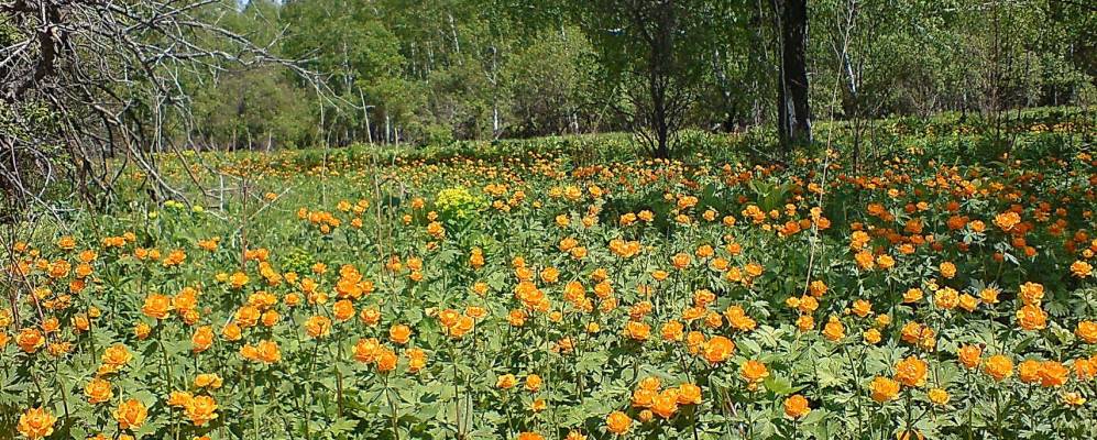 
            Фотография Шудрово