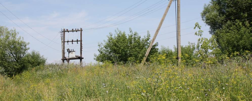 
            Фотография Павловского