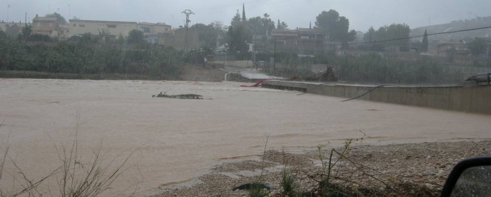 Фотография Мануела