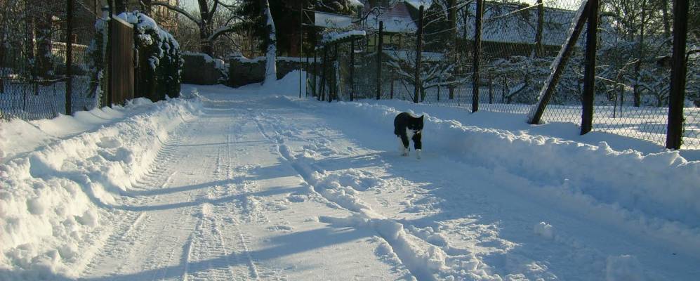 
            Фотография Найнштедта