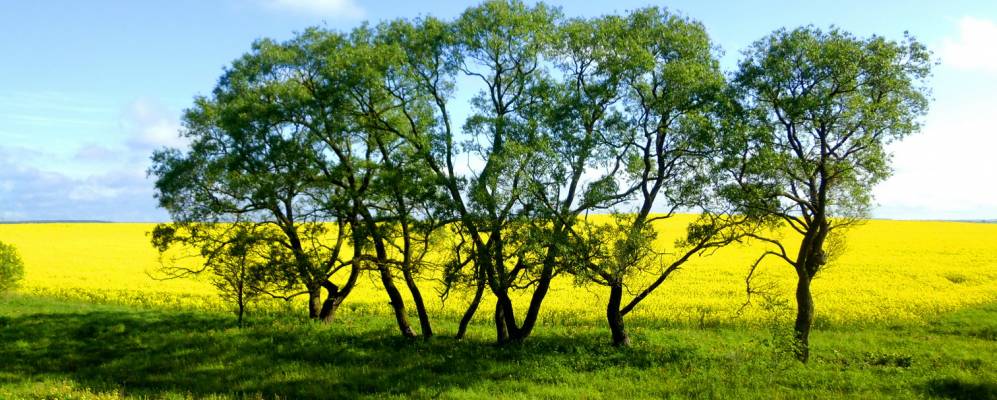 
            Фотография Луговой Слободы