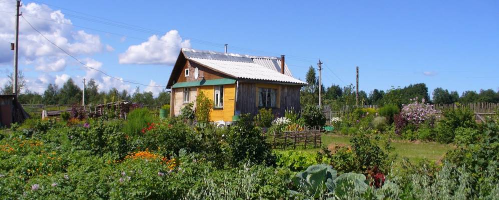 
            Фотография Сырецкого