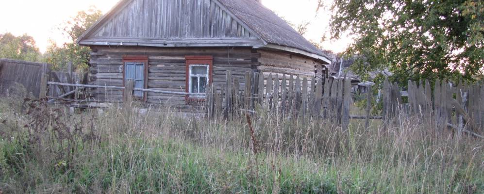 
            Фотография Ракуты