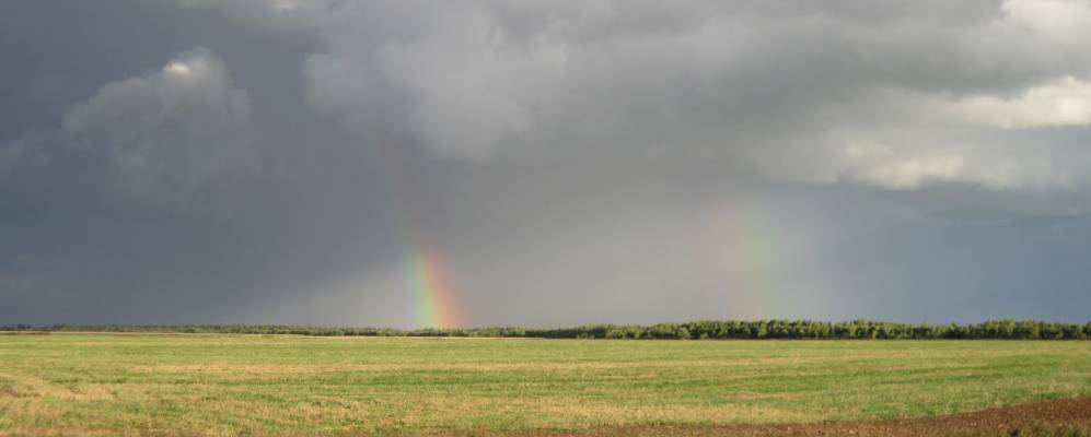 
            Фотография агрогородка Шити