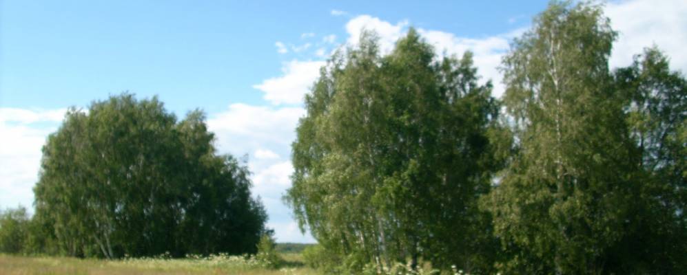 
            Фотография Николаевского