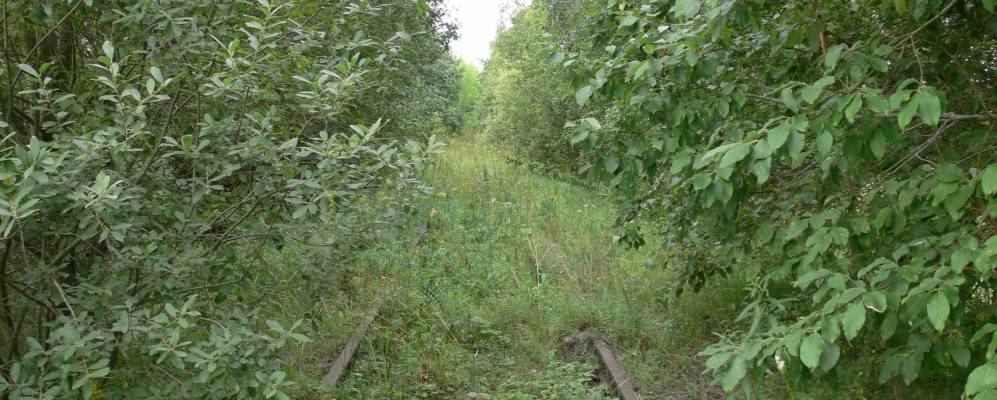 
            Фотография Гришенково