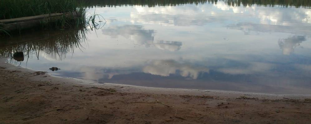 Фотография Пальгино