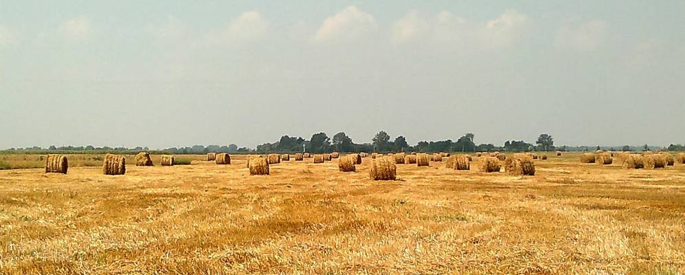 
            Фотография деревни Луцевичи