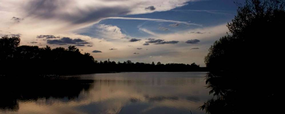 
            Фотография Волово