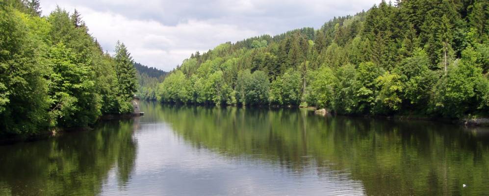 
            Фотография Нойстифт