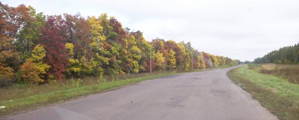 
            Фотография Вторых Левых Ламок