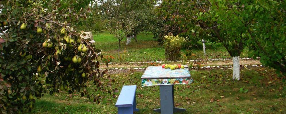 
            Фотография Заполья