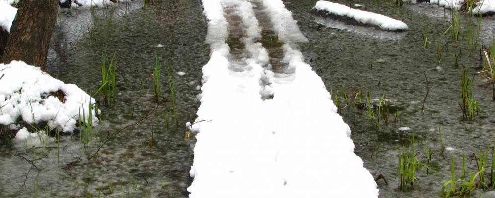 
            Фотография Корево