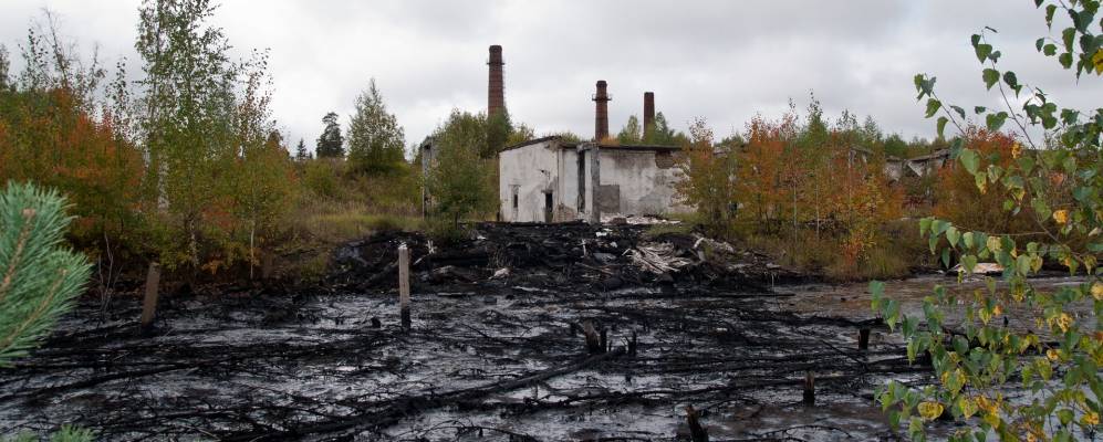 Фотография Медениково