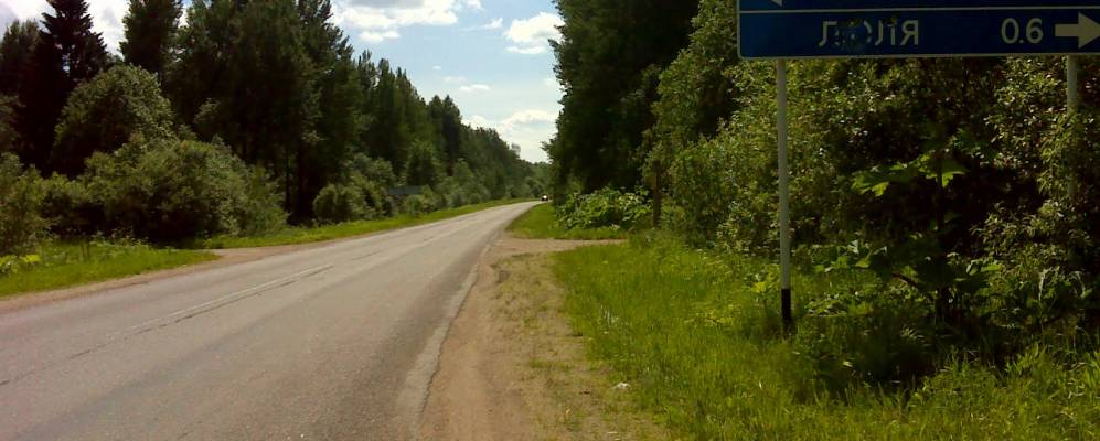 
            Фотография Деревцово