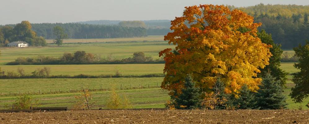 
            Фотография Номинальный Хаузена