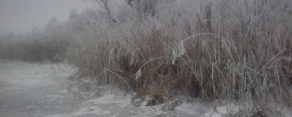 
            Фотография Винково