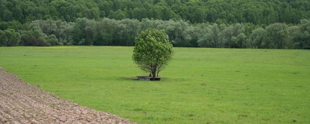 Фотография Латынино