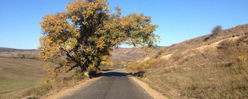 
            Фотография Петриндуи