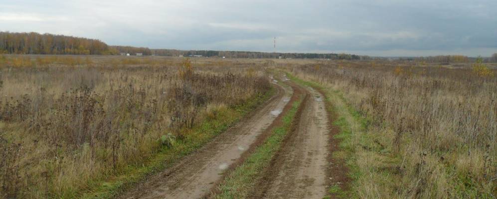 
            Фотография Софьино