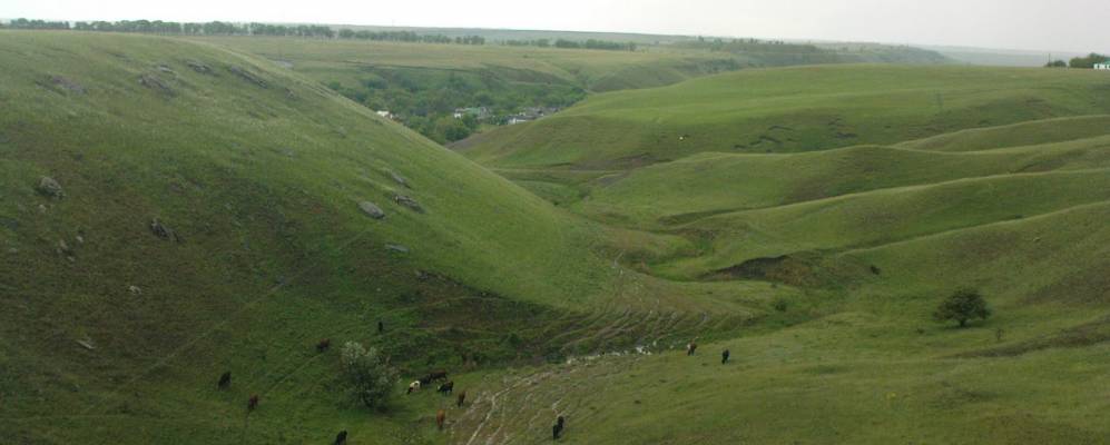 
            Фотография Савинского