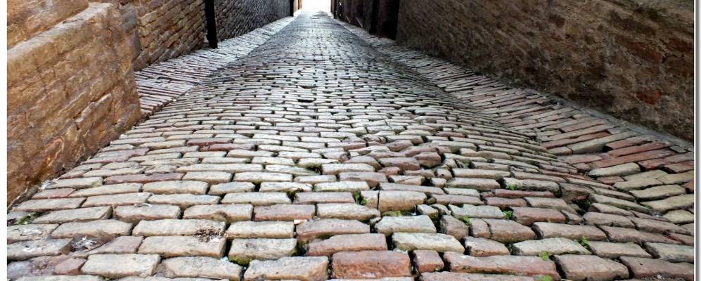 
            Фотография Остры