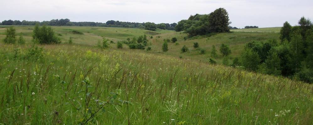 Фотография Коськово