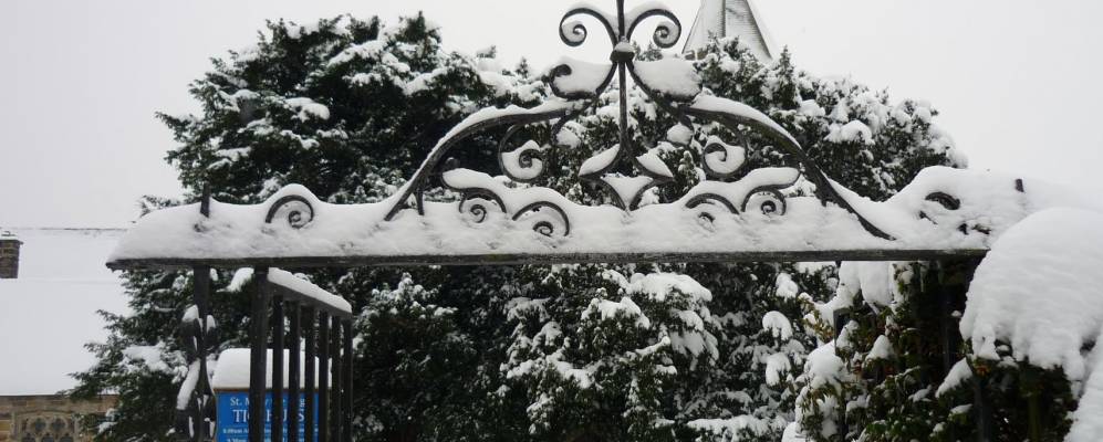 
            Фотография Тисхерста